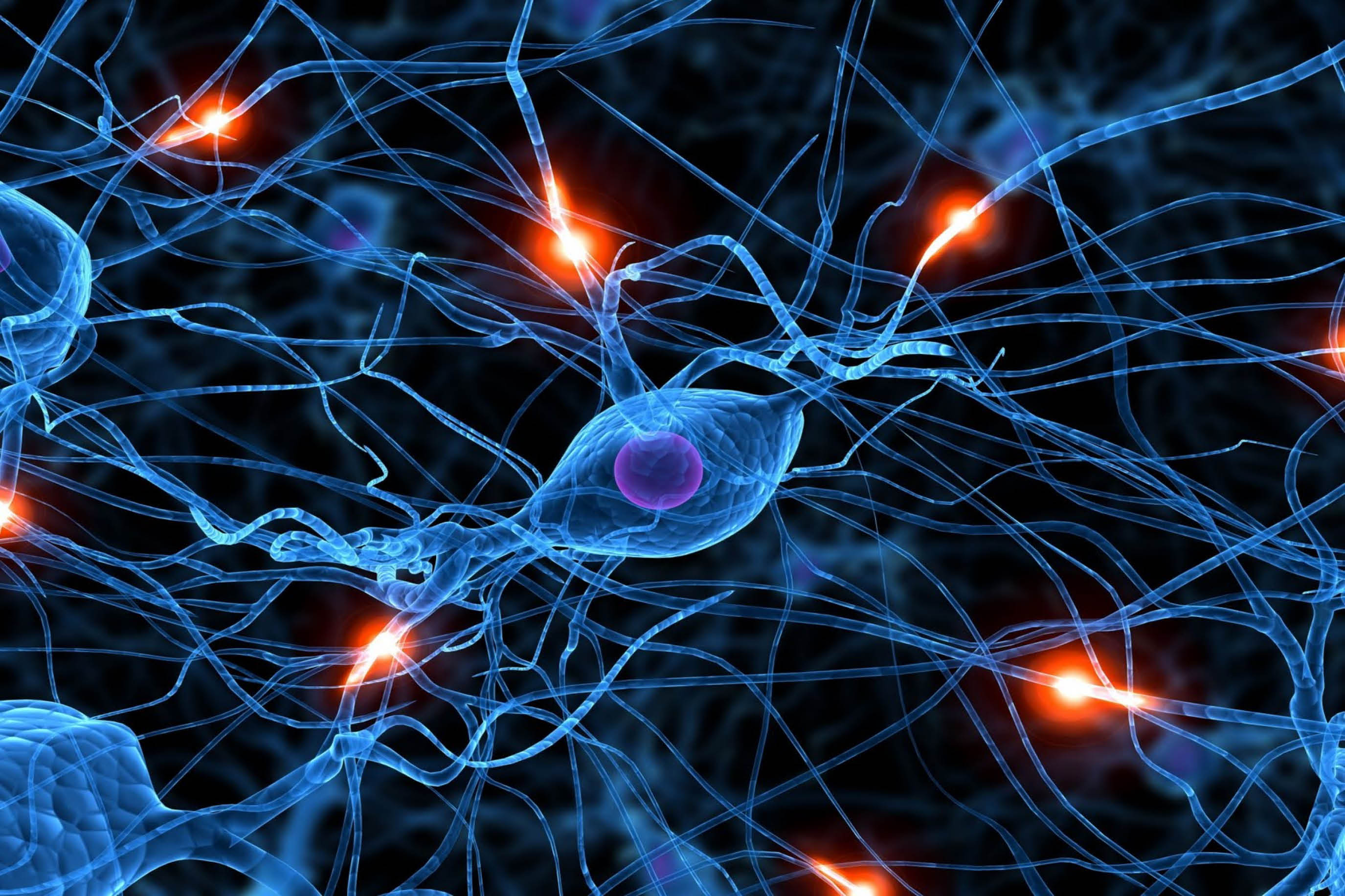 神經網絡 （圖：ExtremeTech）
