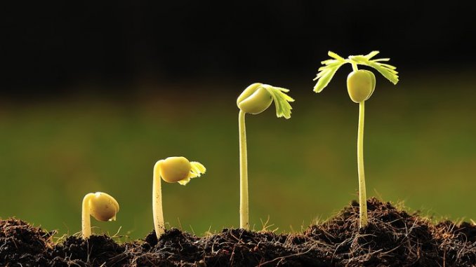 科學家發現新微生物