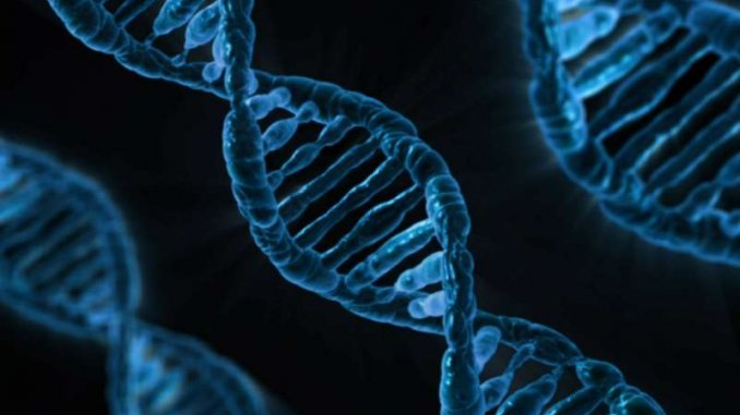 DNA