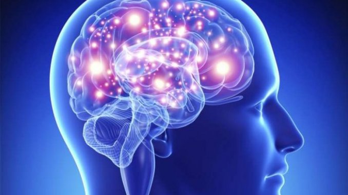 科學家首次利用大腦植入物促進人類記憶- 明日科學