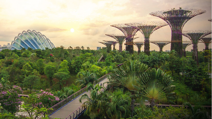 星國海灣花園 ( Gardens by the Bay )
