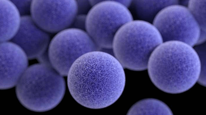 MRSA
