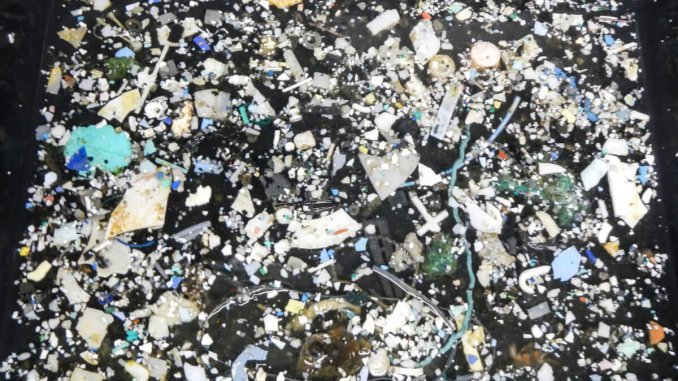 garbage_patch