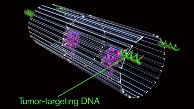 Anti-tumour nanorobots