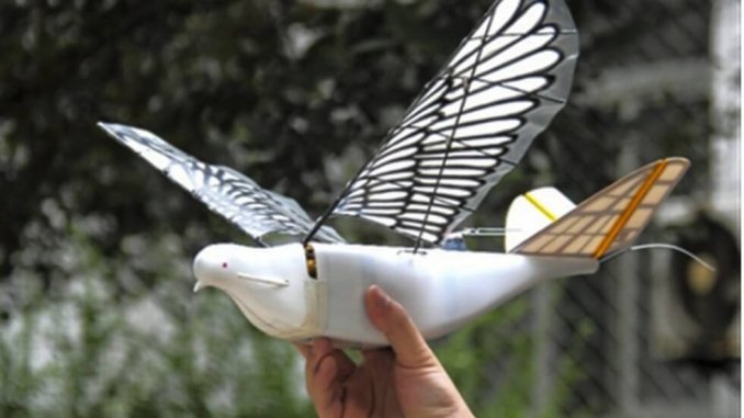 中國研發鳥型無人機
