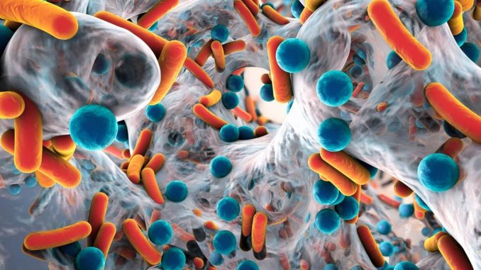 cefiderocol-antibiotic-resistance-1