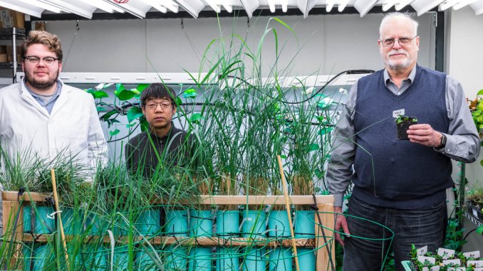 Stewart Strand and Lab assistant Long do work to genetically modify house plants to remove airborne pollutants from the air space