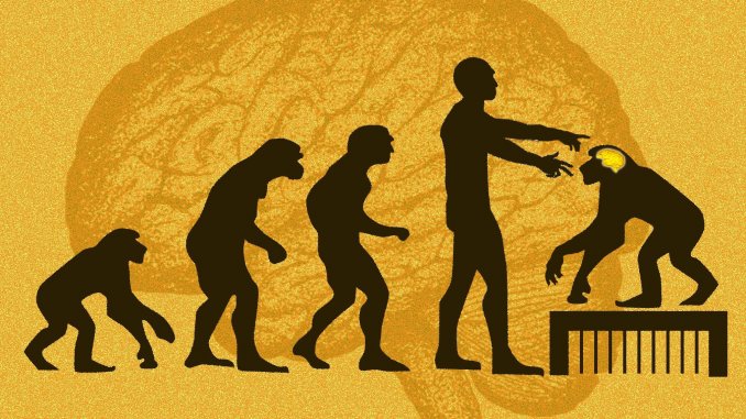 alteringmonkeybrains2