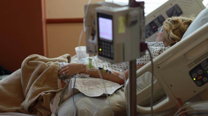 Flying-insects-in-hospitals-carry-superbug-germs