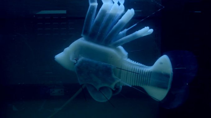 robot-fish-swim-blood-batteries-1200x630