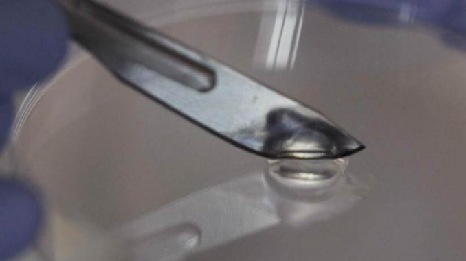 Scientists-produce-self-healing-gel-made-out-of-bacteria-killing-viruses