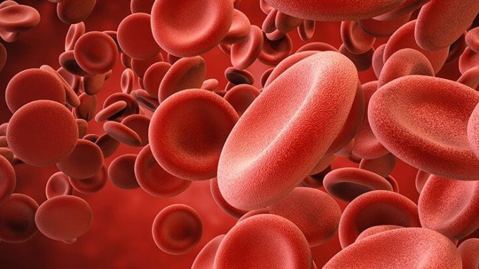 red_cells_HSPC_intestine_1024