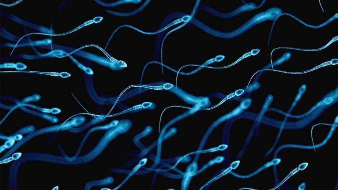 shutterstock_319477082_vrg.0