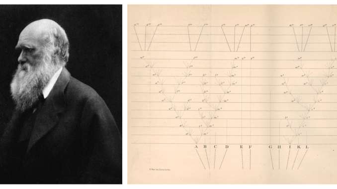 Fig 1-darwin