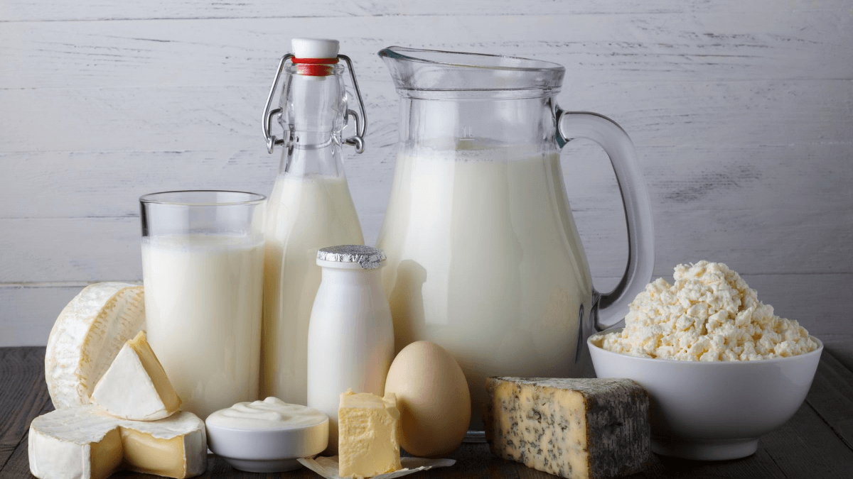 乳糖不耐症是什麼?喝牛奶吃優格會拉肚子嗎? - 明日科學新媒體