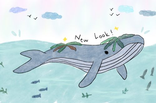 【獸誌揭秘】鯨魚為何愛戴「海藻帽」？海洋巨人的時尚新趨勢