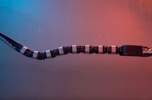 水下機器人「1-guilla」模仿鰻魚運動：揭秘海洋生物長途遷徙之謎