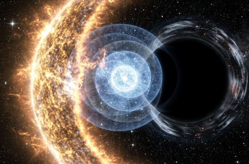 恆星最後會炸成超新星還是塌成黑洞?微中子「味」可能是關鍵:195 次電腦模擬給出線索