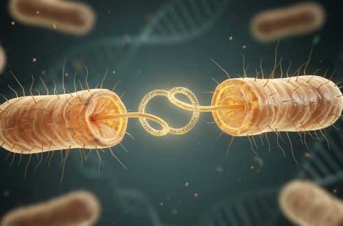 大腸桿菌餓到快死時會「交配」?ISTA 實驗室發現基因交換頻率是突變的 100 倍以上
